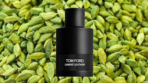 Tom Ford Ombre Leather – Quyến Rũ Và Khác Biệt